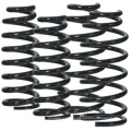 Super Duty Lift Coil Spring mit Farbdruck Box